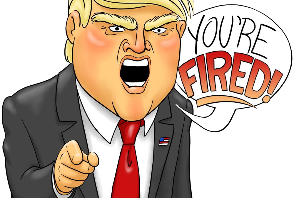 The Trump Hush Money Trial: A Study in Disinterest